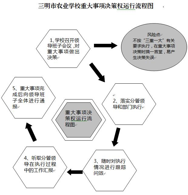 kaiyun.com重大事项决策权运行流程图.JPG
